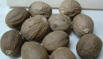 احذرى استعماله فالقليل منه يسبب الهلوسة والإكثار يؤدى للوفاة