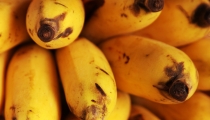 حقائق مذهلة عن الموز