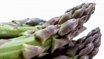 شوربة الهليون