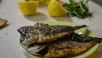 سمك مشط مشوي