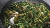 علت اخضر