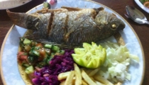 سمك مشط 