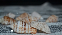 نصائح تجعل بشرتك أجمل عند الصباح  