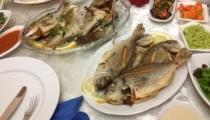 سمكة بتتبيلة التيكا