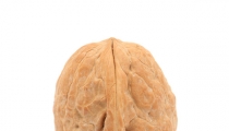 12 فائده مهمة للجوز 