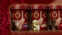 حملة واسعة النطاق لـ YOLO  تحت شعار  