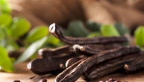 الفوائد الصحية للخروب