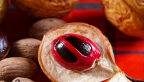 فوائد زيت جوزة الطيب لصحتنا