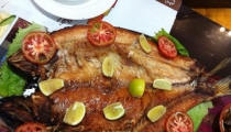 فكره للسمك