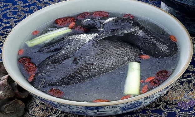 بالصور والفيديو: دجاج أسود اللحم .. معقول ؟!